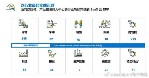 有喜企業(yè)ERP 借力SAP ERP公有云，引領(lǐng)新能源企業(yè)數(shù)字化成功轉(zhuǎn)型之路